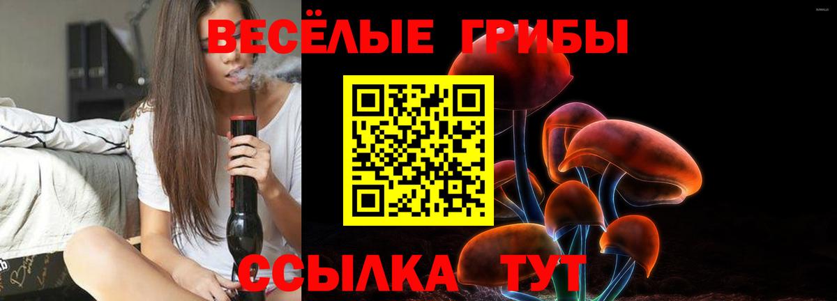 Галлюциногенные грибы Cubensis  Вход с VPN  Балашов 